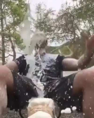 Молочный камшот