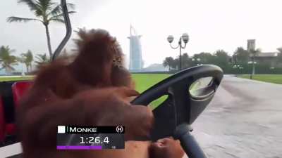Monke Verstappen