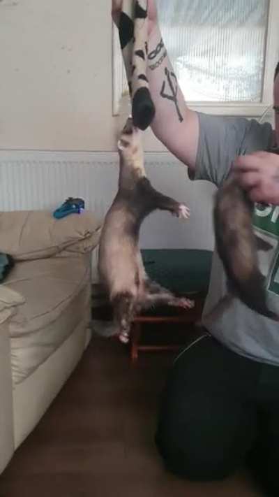 Grab grab grab