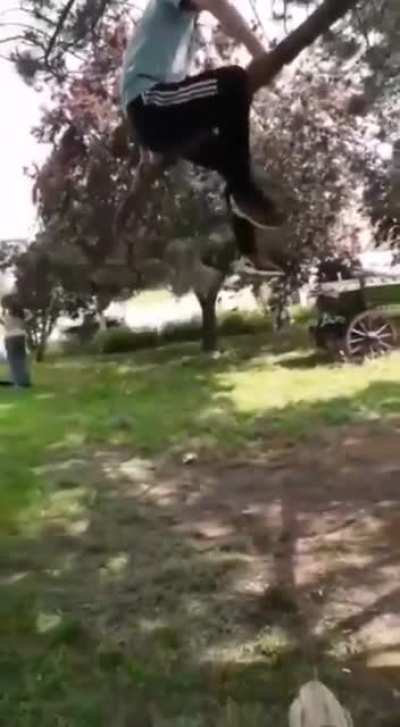 Blursed_fail