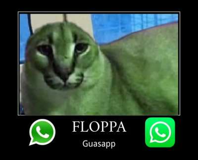 Floppa Guassap
