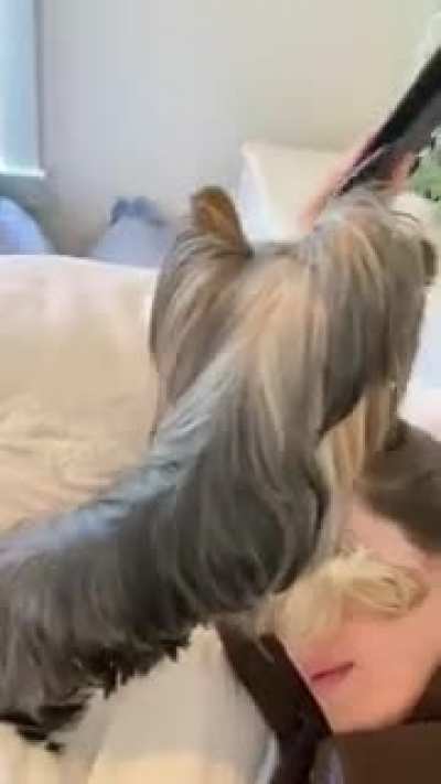 So cute!