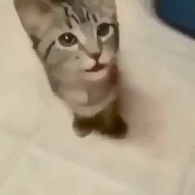 ª