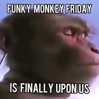 I got here just in time