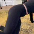 Workout