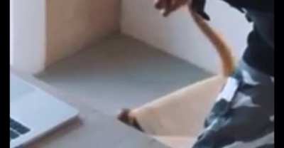 Scarlxrd but no context