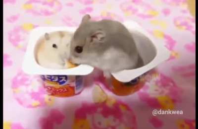 Don’t touch ma food