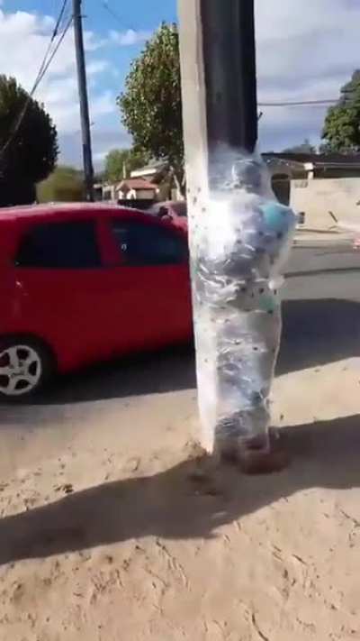 Citizen arrest in Chile (The guy was caught stealing cars and beating an old man)