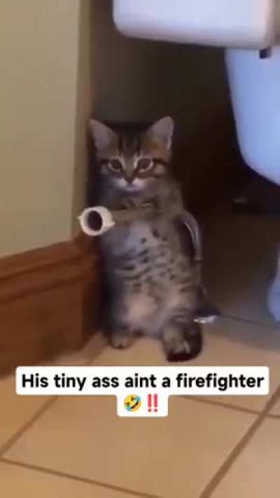 he think he a 😹