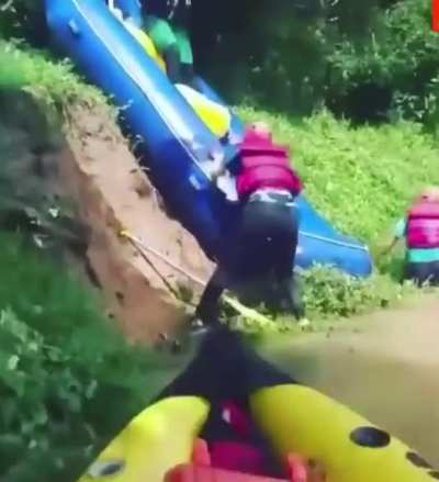 Джунгли зовут!