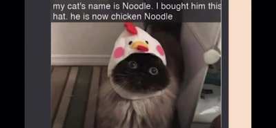 😂😂