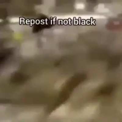 Racist cat??