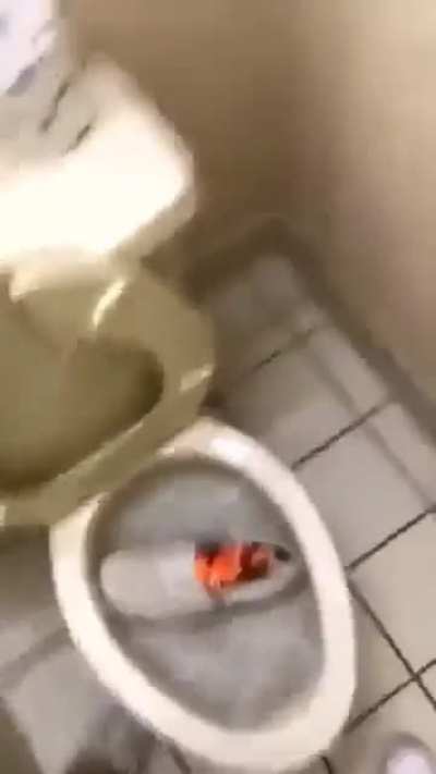 loading title...