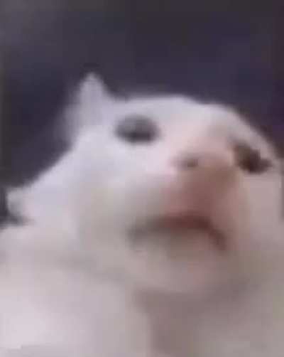 ‍
