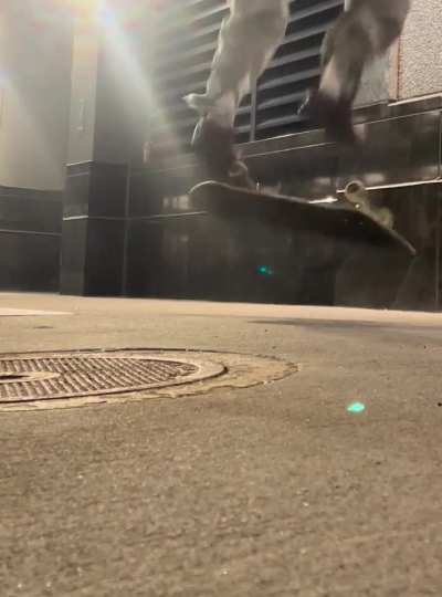 heelflip