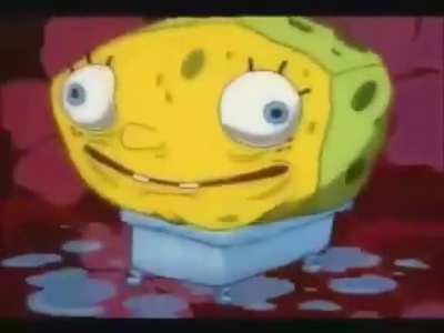 bob squob