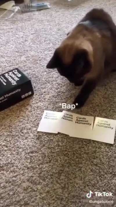 Cats predict once again