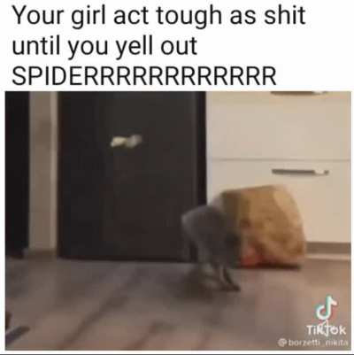 She be dancing like nobody watching.