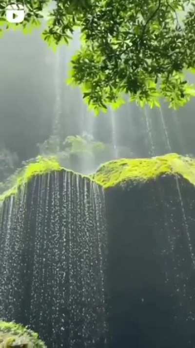 SATISFYING NATURE 🌿🍃