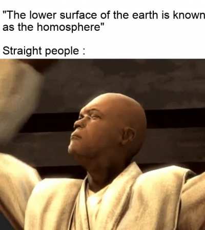 excuse me wtf