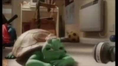 Damn, da turtle been through some 😳