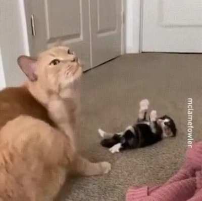 Are you going to leave me here?