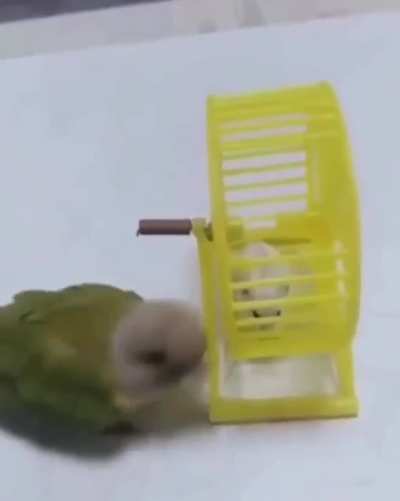 Давай беги