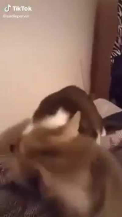 hey- what th- AAAAAAAAAAAAAAAAAAAAAAAAAAAAAAAAAAAAA-