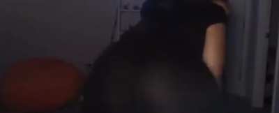 twerk
