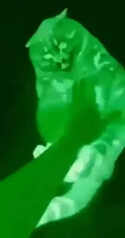 Radioactive wunkus