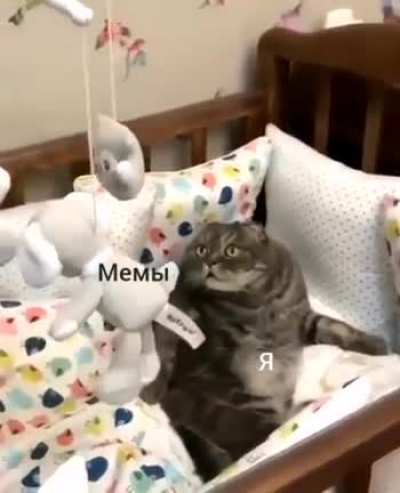 Когда впервые зашёл на реддит