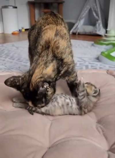 Sleep Startle