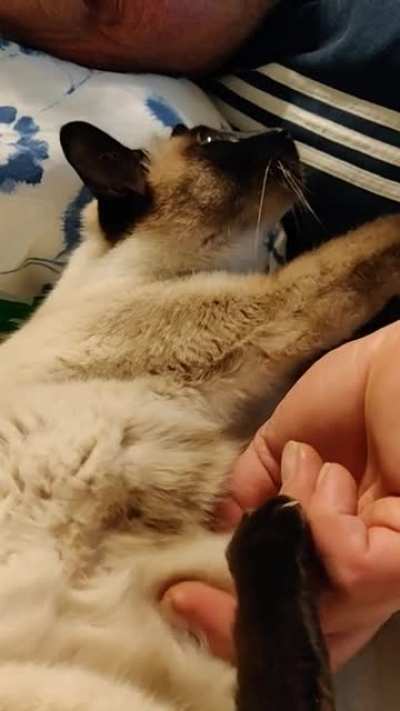 Happy mirin'