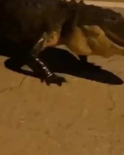 Hiss