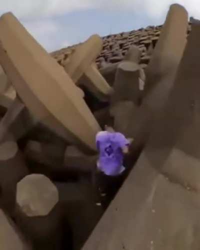Go pro cameraman managed to follow all the way