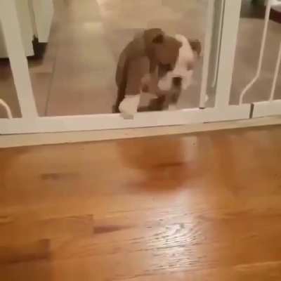 to jump