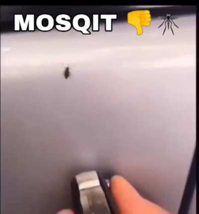 Mosquit👎