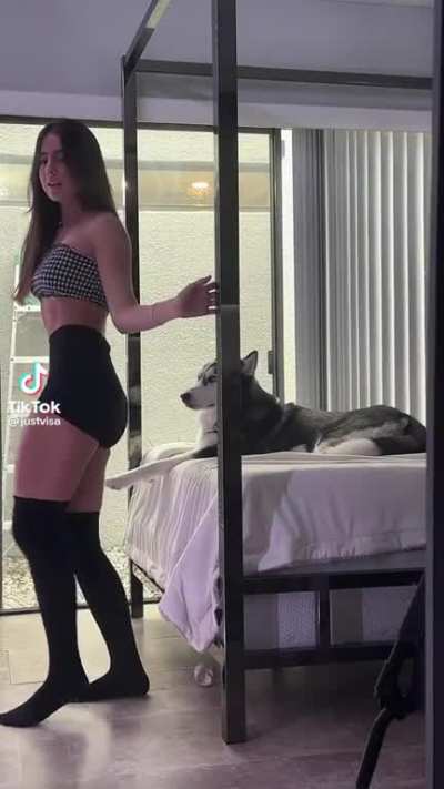 Lucky Dog
