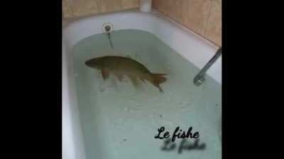 LeFishe