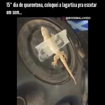Por que não fazer-mos este teste em vídeo Renan?