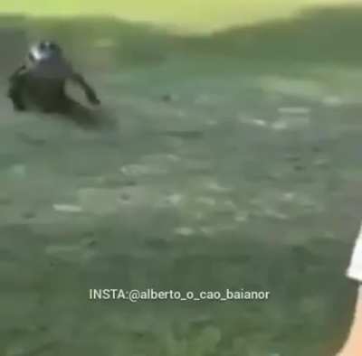 rodolfo