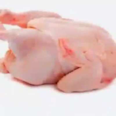 Chicken🍗
