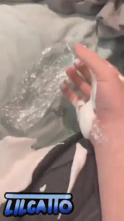 Die