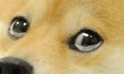 I’m heartbroken w/ this community over the last couple of days. The amount of negative post is disheartening. Positive Vibes only Shibs! Keep loving DOGE! Keep HODL!