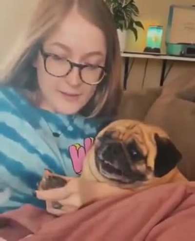 Pug Named Pug-Drama Queen Getting Nails Did!