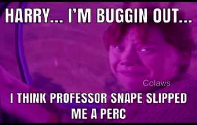 Hogwarts legacy be like.
