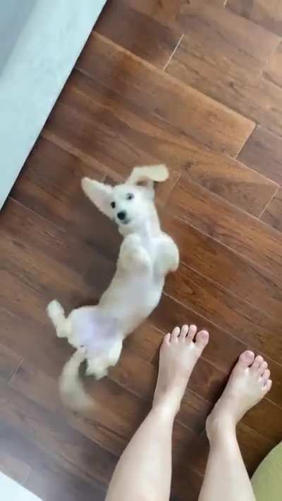 It's so cute
