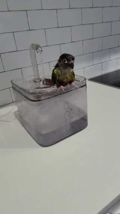 Squeaky clean!