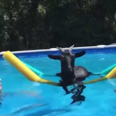 Baphomet Vacation
