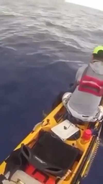 Kayaker unaware of what’s coming.